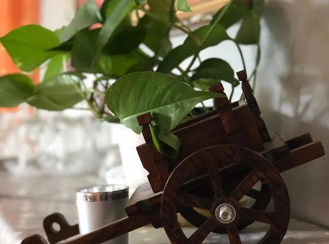 לינה וארוחת בוקר Armonia אנה